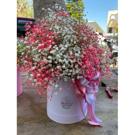 KUTUDA PEMBE - BEYAZ CİPSO